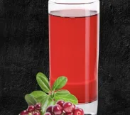 Морс брусничный 0,33 л | SakhFood
